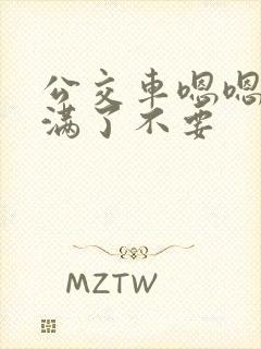 公交车嗯嗯啊啊满了不要