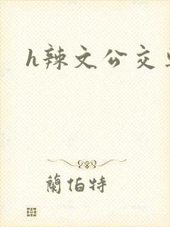 h辣文公交车
