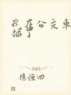 我在公交车上被插了
