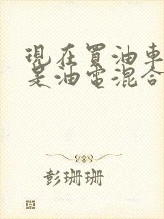 现在买油车好还是油电混合好