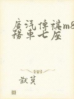 广汽传祺m8商务车七座