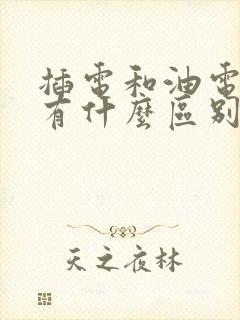 插电和油电混合有什么区别