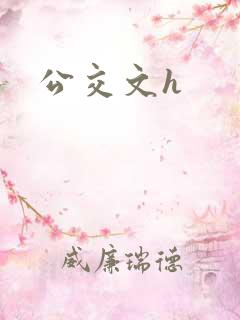 公交文h
