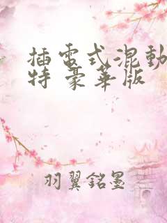 插电式混动帕萨特 豪华版