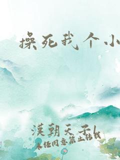 操死我个小骚货