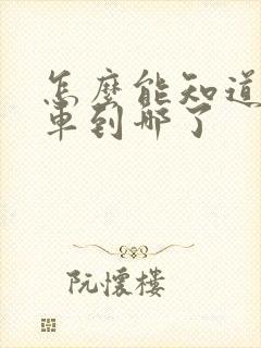 怎么能知道公交车到哪了