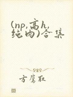 (np,高h,纯肉)合集
