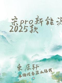 宋pro新能源2025款