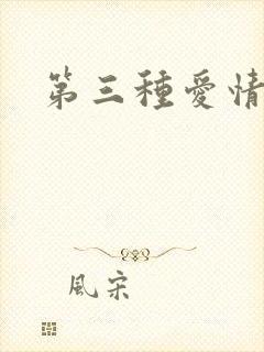 第三种爱情续集