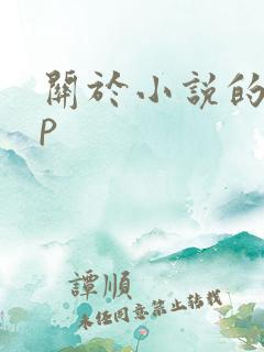关于小说的app