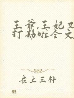 王爷,王妃又去打劫啦全文免费阅读