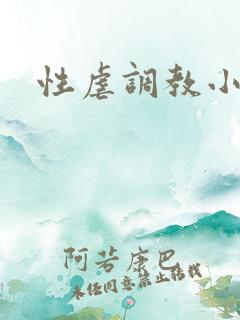 性虐调教小说