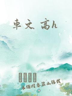 车文 高h