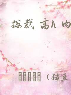 总裁 高h 肉