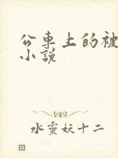 公车上的被调教小说