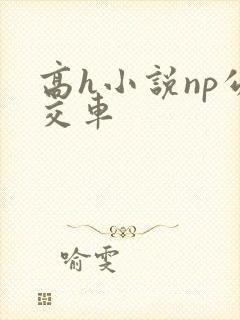 高h小说np公交车