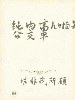 纯肉高h啪短文公交车