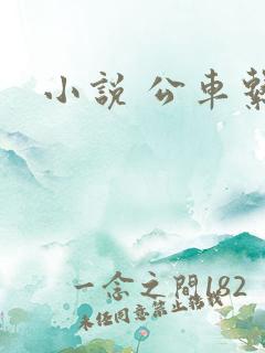 小说 公车系列