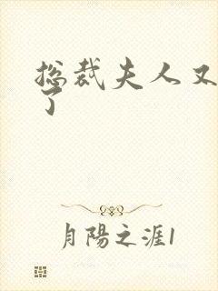 总裁夫人又征婚了