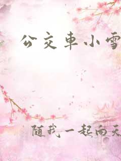 公交车小雪