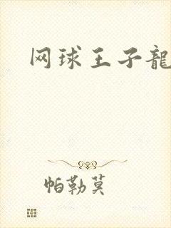 网球王子龙樱