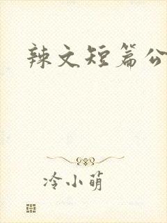 辣文短篇公交