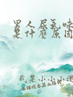 男人尿气味很重是什么原因