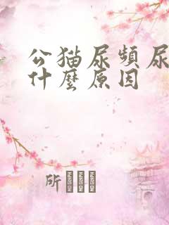 公猫尿频尿少是什么原因