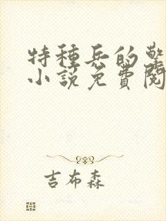特种兵的擎天柱小说免费阅读