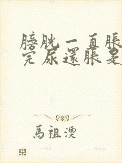 膀胱一直胀,尿完尿还胀是什么病