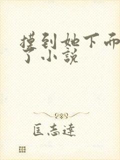 摸到她下面湿透了小说