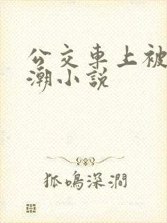 公交车上被插高潮小说
