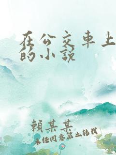 在公交车上爱爱的小说
