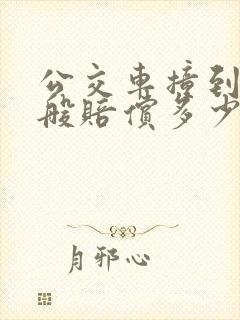 公交车撞到人一般赔偿多少