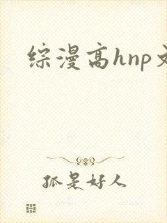 综漫高hnp文