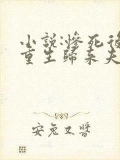 小说:惨死后,重生归来夫人