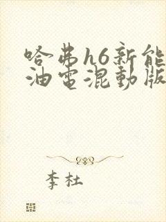 哈弗h6新能源油电混动版