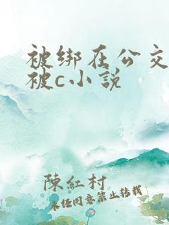 被绑在公交车里被c小说