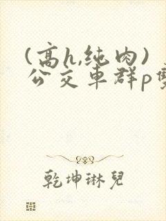 (高h,纯肉)公交车群p双性