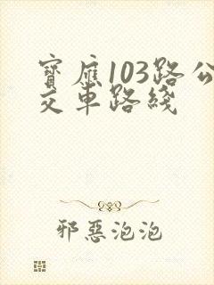 宝应103路公交车路线