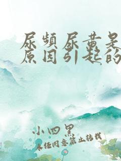 尿频尿黄是什么原因引起的