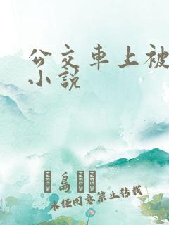 公交车上被插的小说