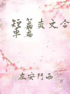 短篇爽文合集公车篇