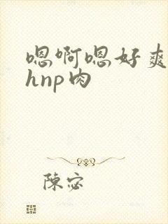 嗯啊嗯好爽啊高hnp肉