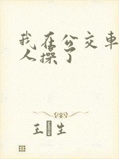 我在公交车上被人操了