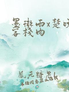 墨微雨x楚晚宁客栈肉