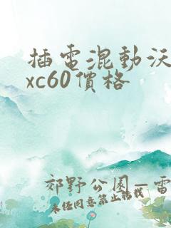插电混动沃尔沃xc60价格