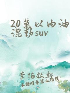 20万以内油电混动suv