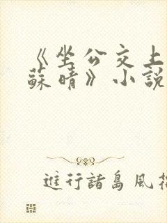 《坐公交上班的苏晴》小说免费阅读