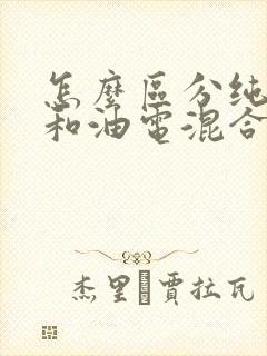 怎么区分纯电车和油电混合